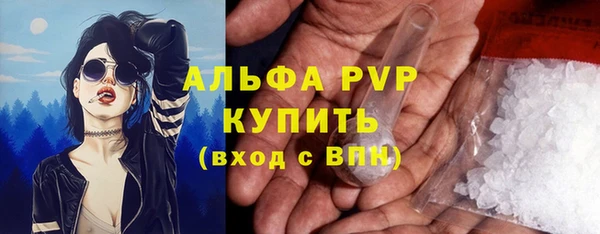 дмт Верея