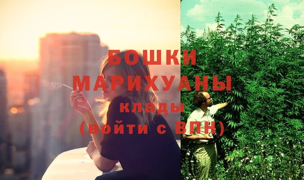 дмт Верея