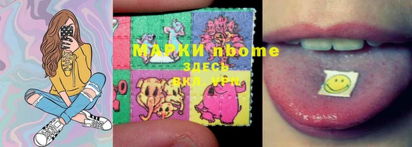 дмт Верея