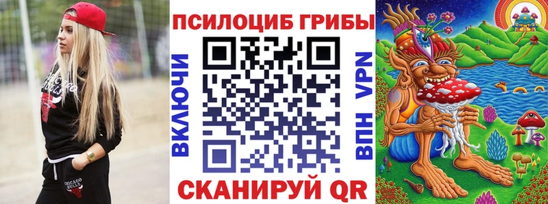 гидра зеркало  Выборг  Галлюциногенные грибы Psilocybe 